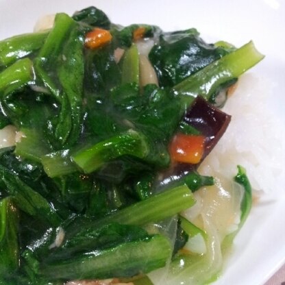 小松菜を早く使いきりたくて、他の野菜と一緒に作りました。皿うどん大好きです^-^☆とっても美味しかったです♪ごちそうさまでした♪